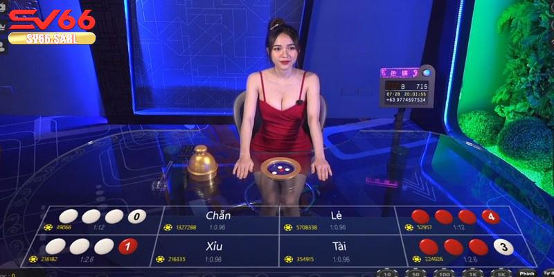 Nhiều phần mềm giúp xác định cầu xóc đĩa thành công